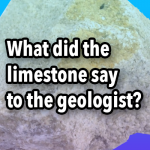 What did the limestone sayto the geologist?